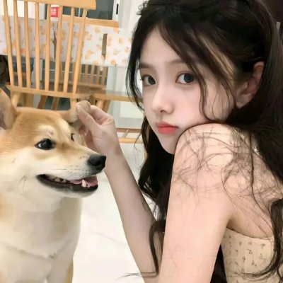 猫王巡回演唱会免费在线观看